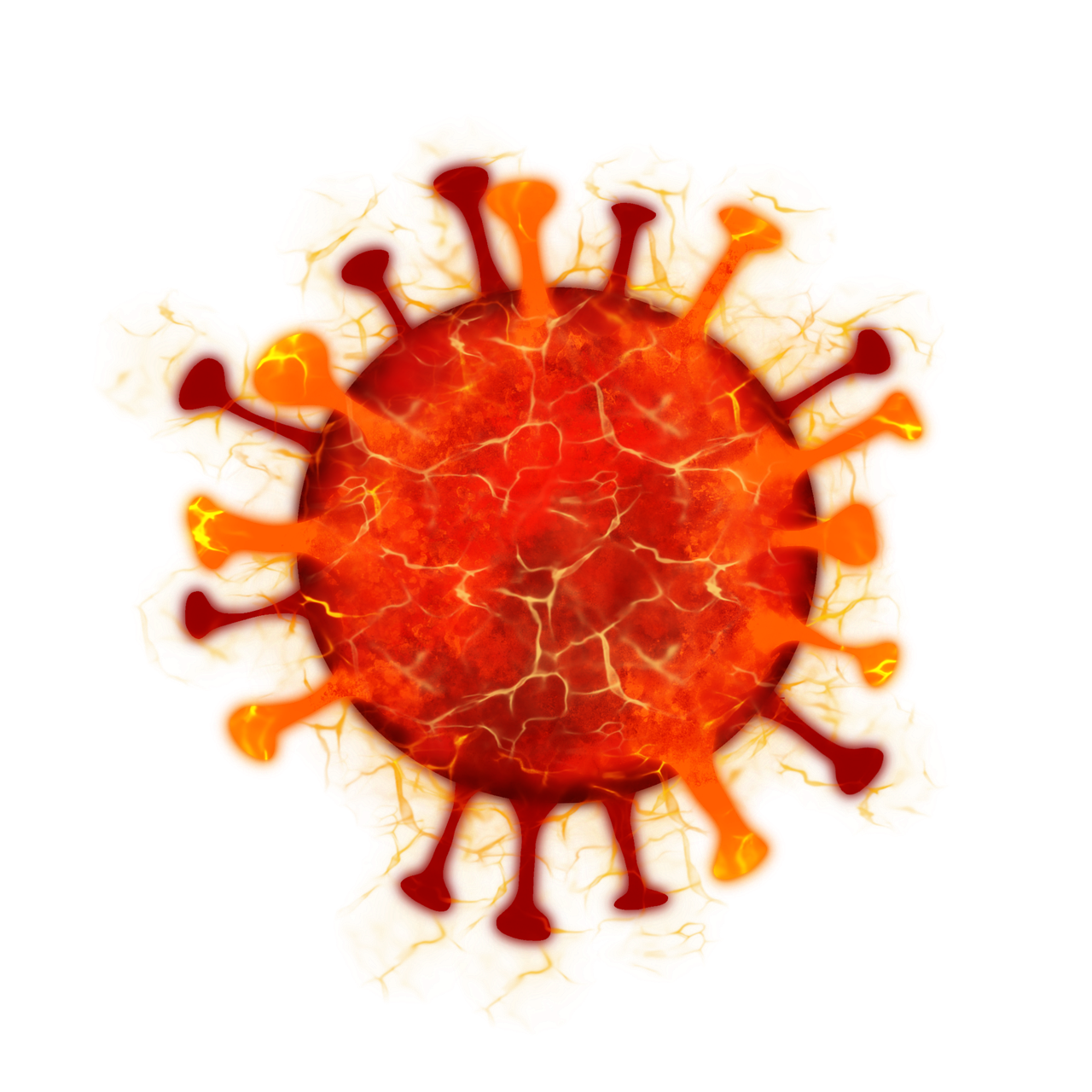 65세독감 예방접종 사전예약 시스템