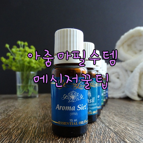 아줌마 필수템! 메신저 똑똑하게 쓰는