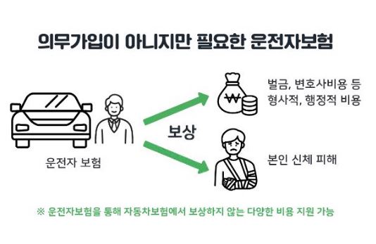 운전자보험-특징