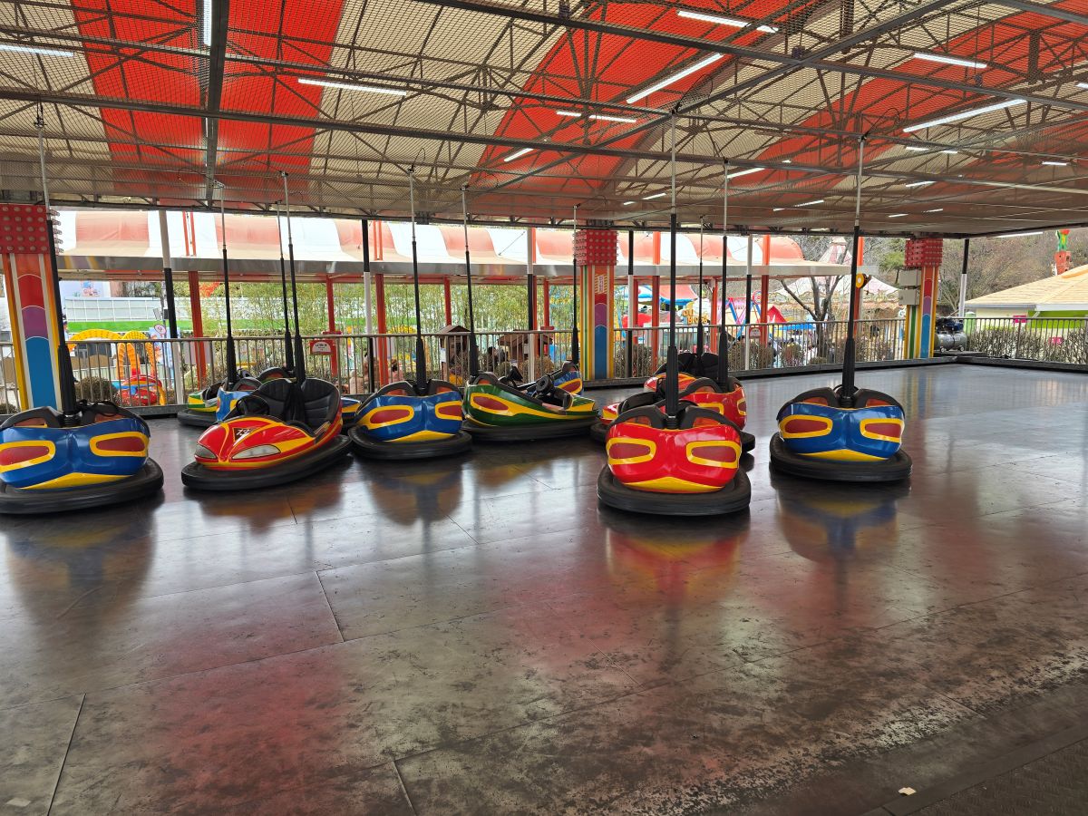 대전-오월드-범퍼카