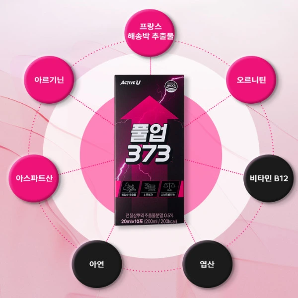 풀업 373