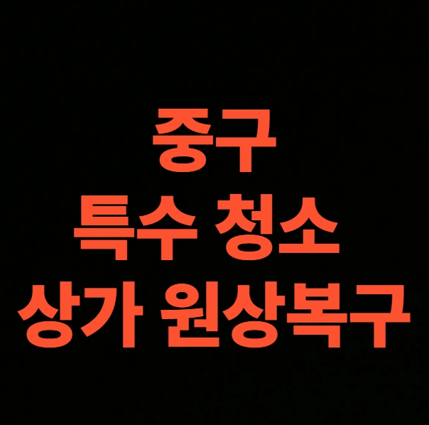 서울 중구 화재 청소 전문업체, 상가 원상복구 견적 (광희동, 다동, 만리동, 명동, 무교동, 소공동, 신당동, 을지로동, 장충동, 중림동, 청구동, 필동, 황학동, 회현동)