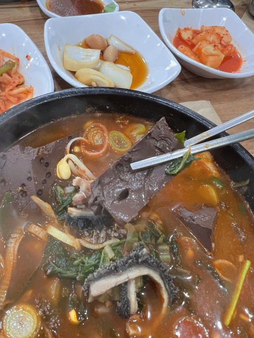 선지도 신선하다!