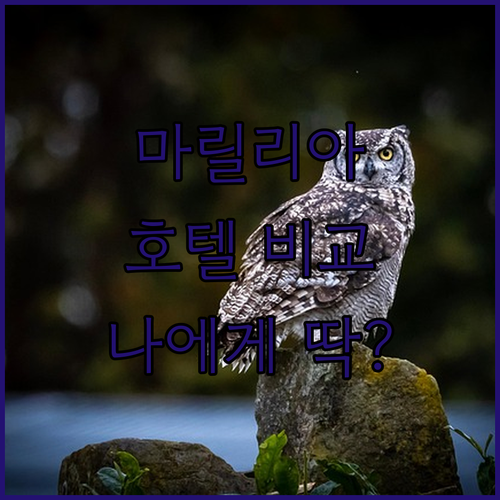 마릴리아 인기 호텔 비교 분석 나에게..