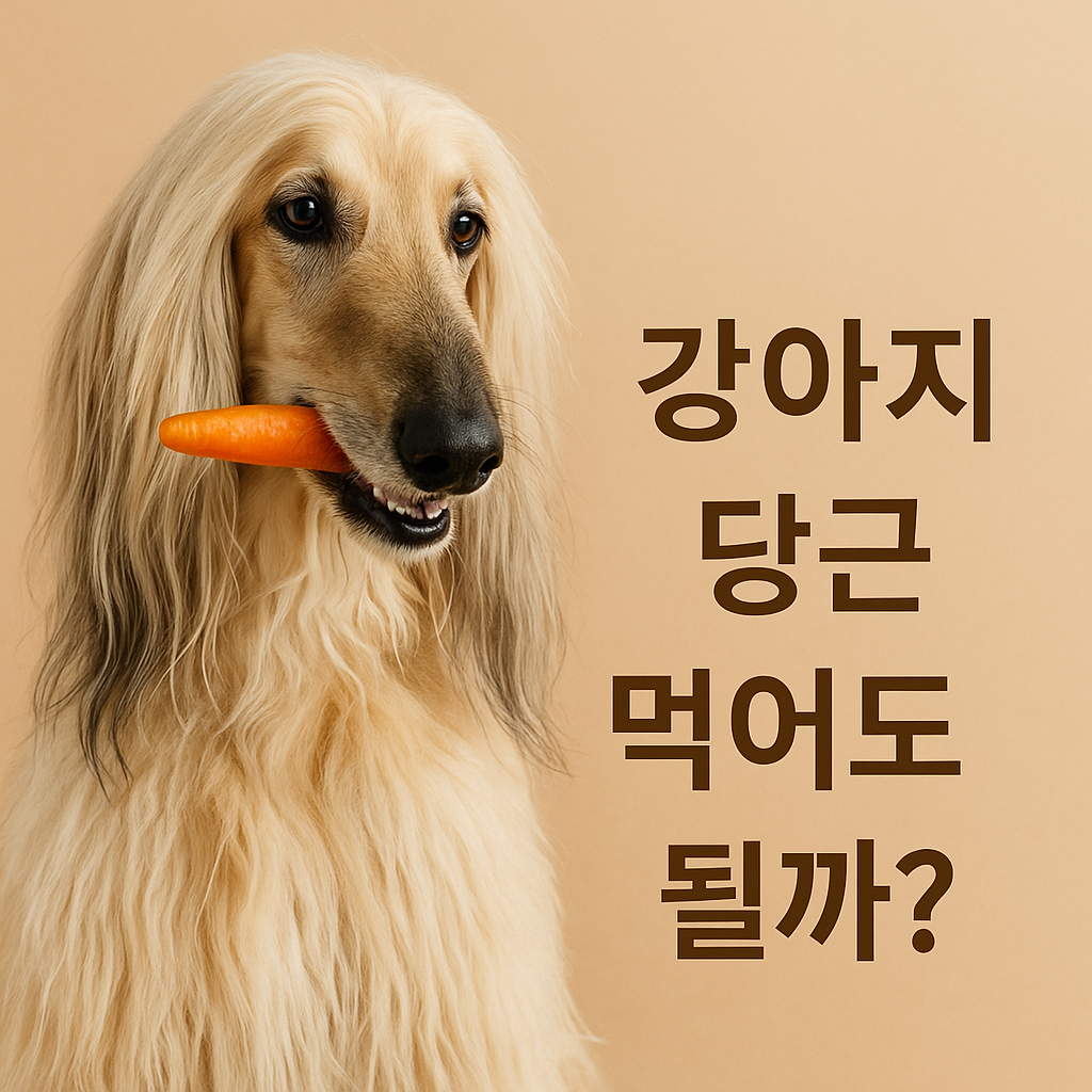 강아지 당근 먹어도 될까?, 실사형 이미지