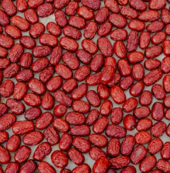 대추 효능과 부작용 고르는법 칼로리