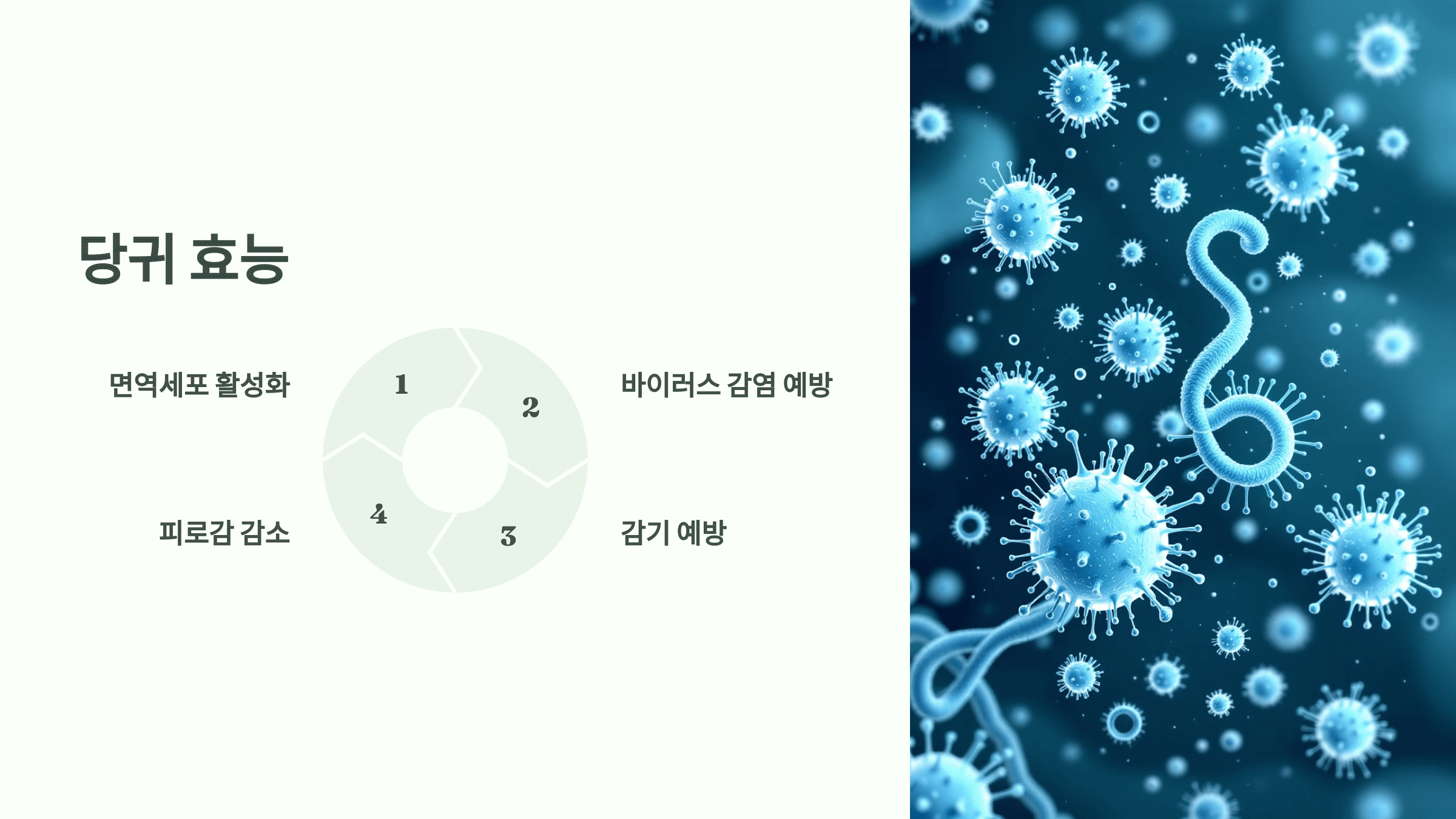당귀 사진입니다.