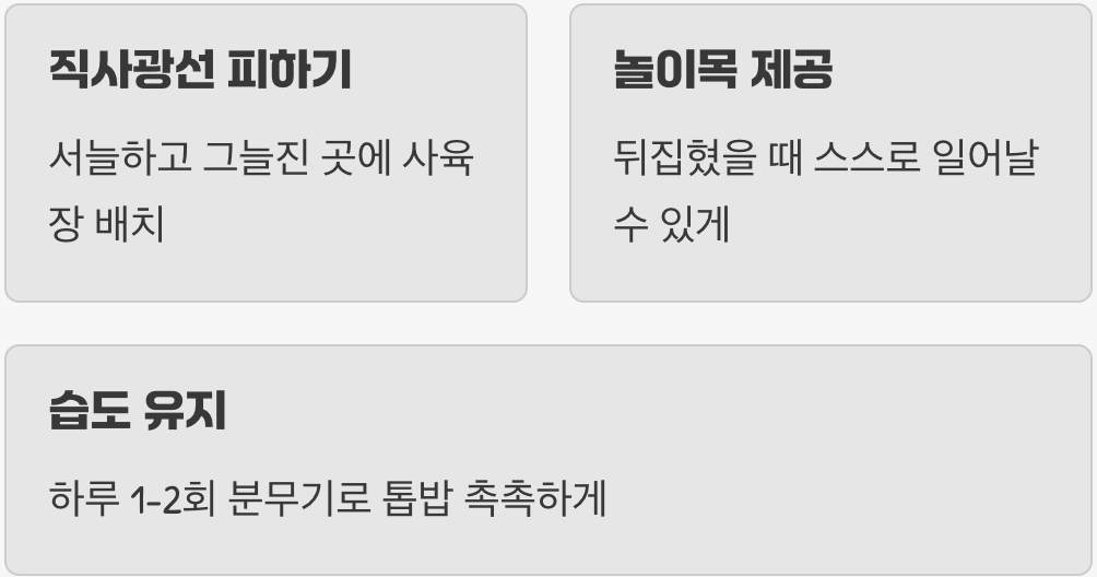 이것만은 꼭! '관리'의 핵심 포인트