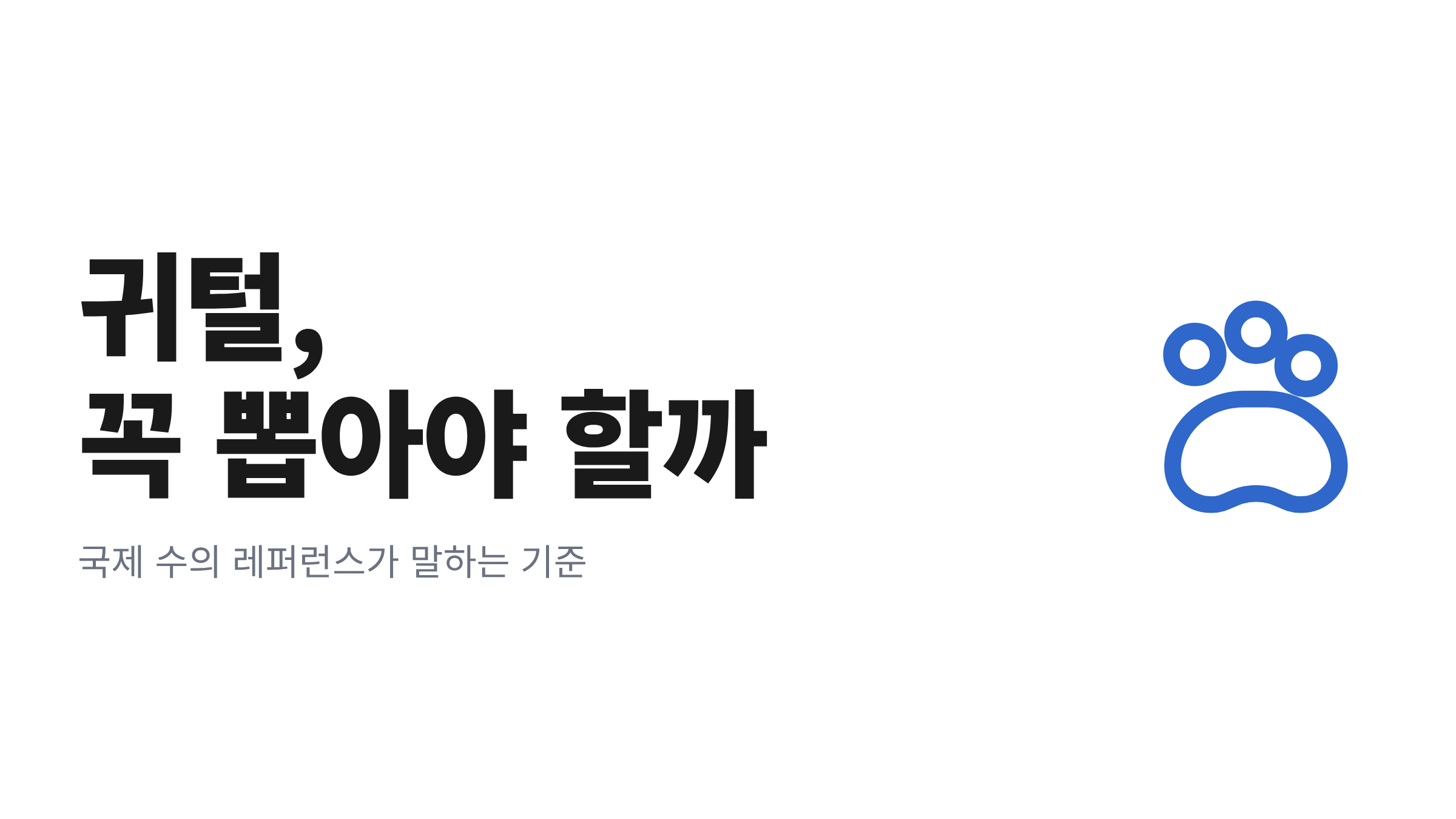 미용을 앞두고 강아지의 귀 안쪽을 살펴보며 귀털을 뽑을지 판단하는 모습