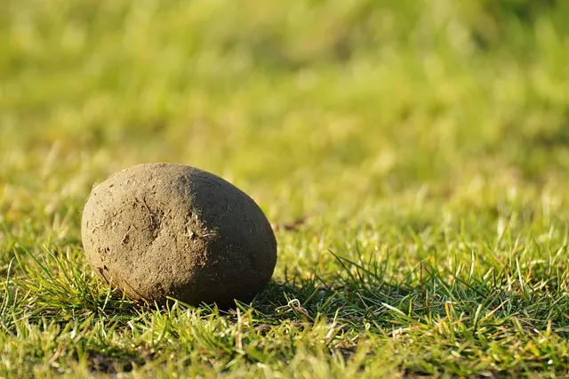 만나이 계산기 계산법 계산방법 2025년_5