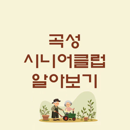 곡성시니어클럽알아보기