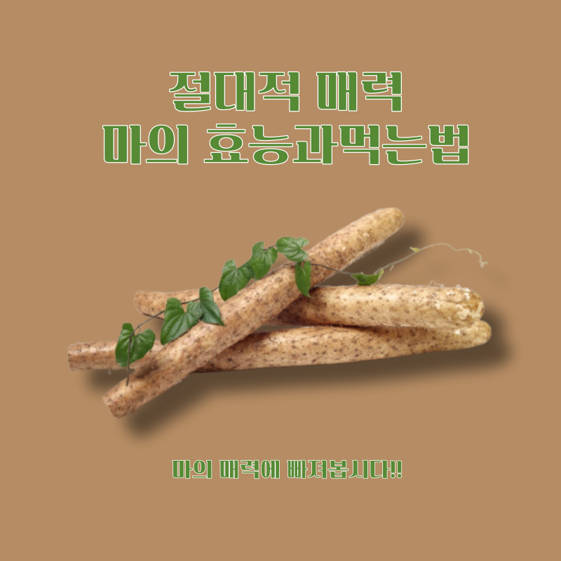 마종류
