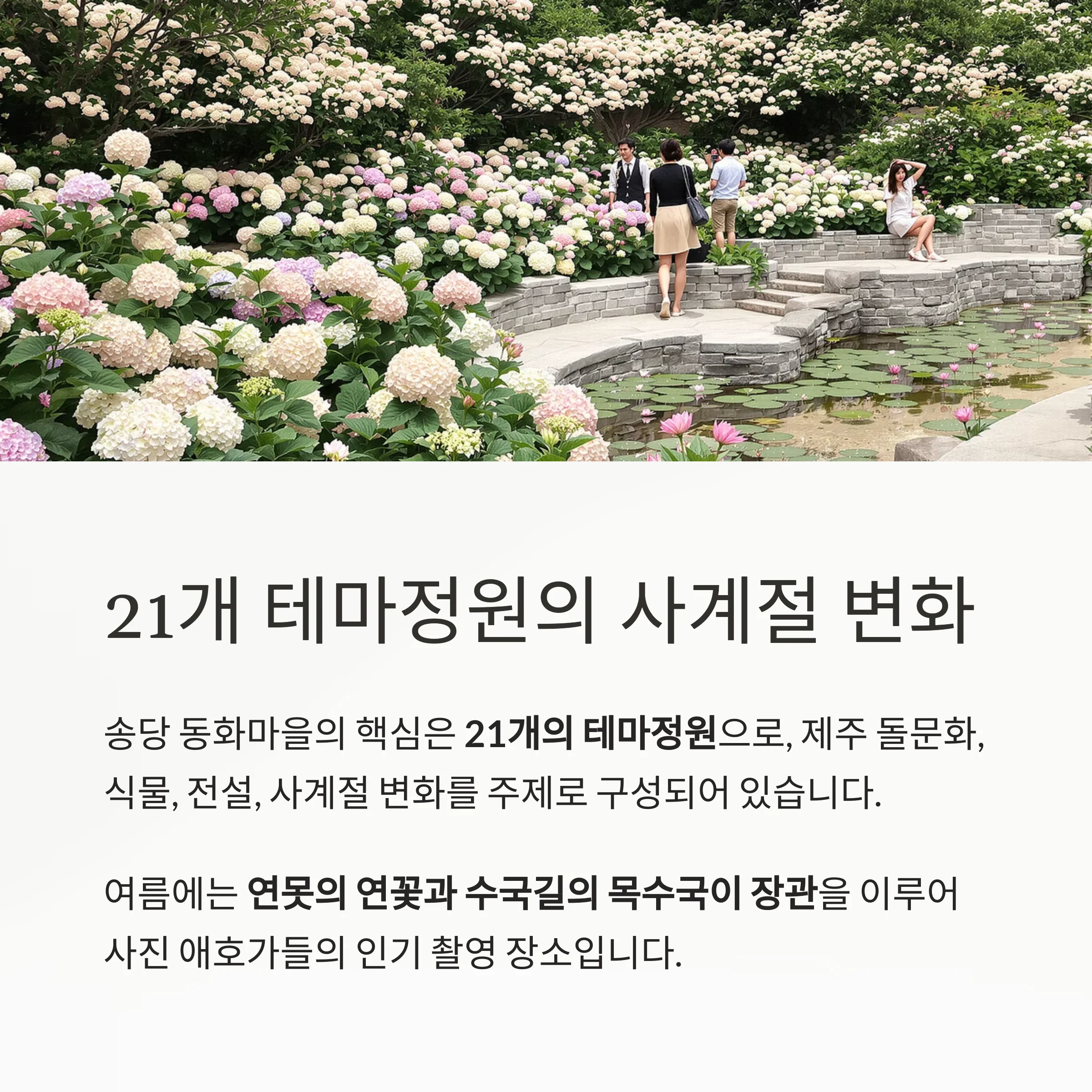 제주 동쪽 힐링 여행의 중심, 송당 동화마을