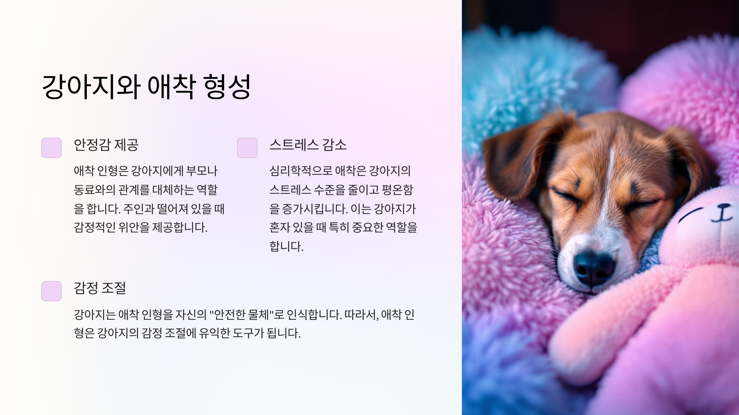 강아지와 애착 형성