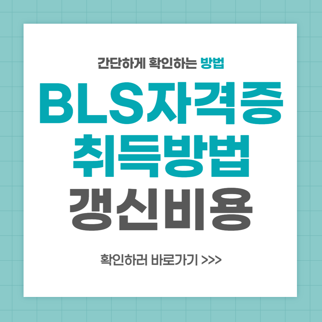 BLS provider 자격증