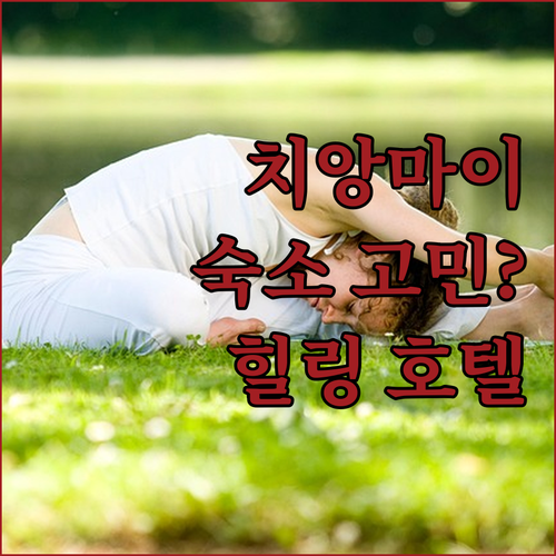 치앙마이 숙소 고민 끝 힐링 가득한 ..