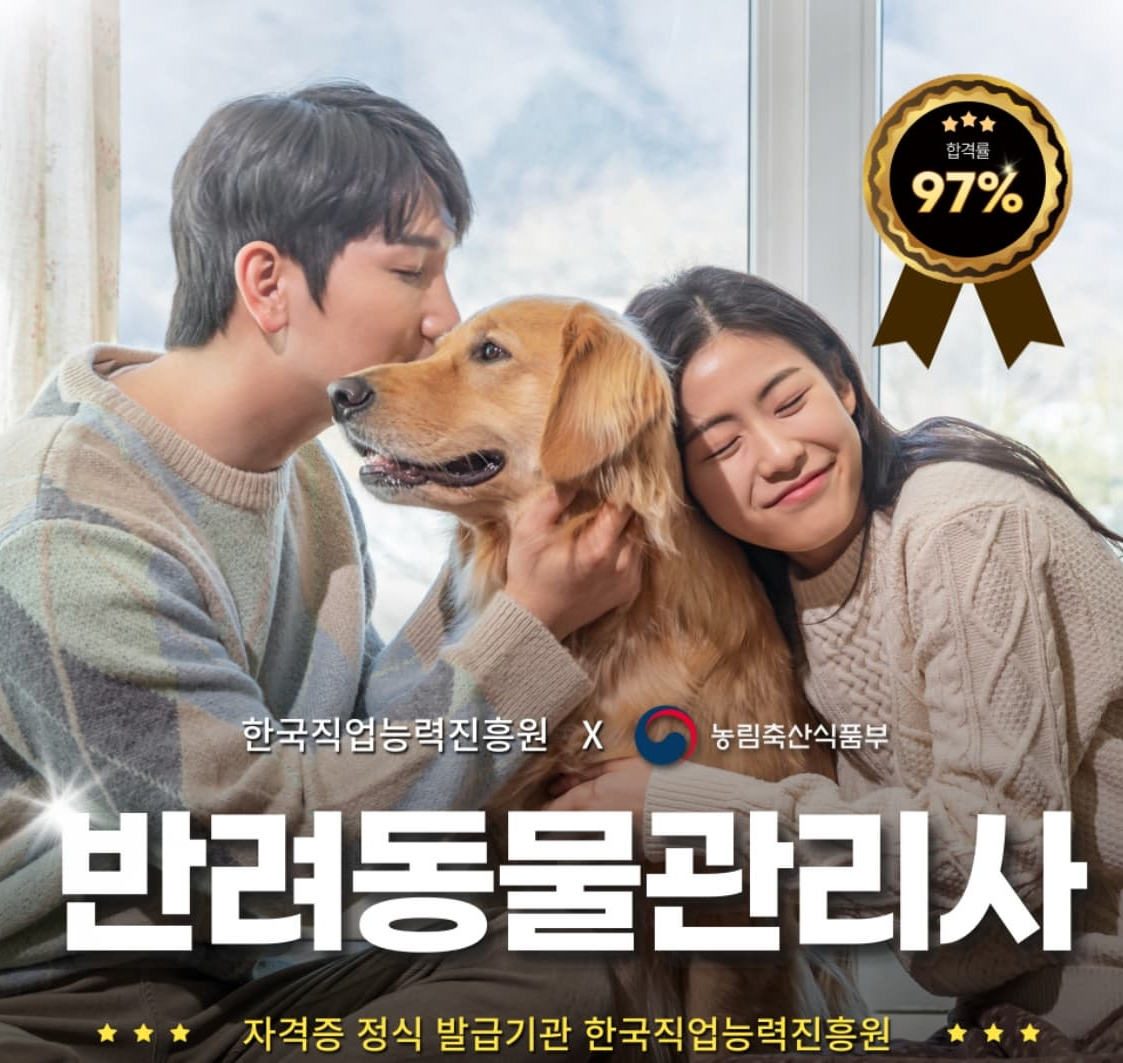 2025년 한국직업능력진흥원 인기 자격증 BEST 5