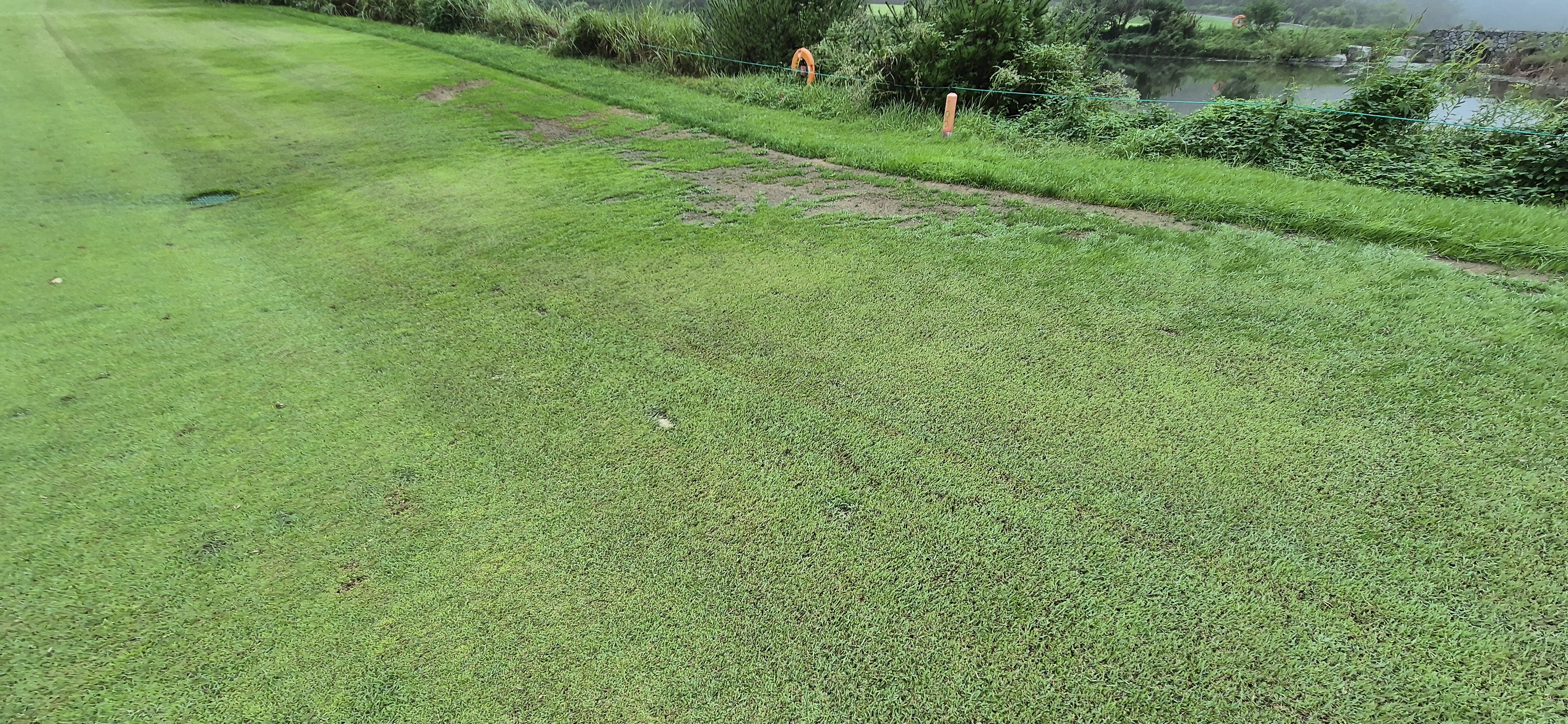 더플레이어스cc