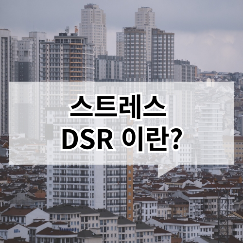 스트레스 DSR 이란