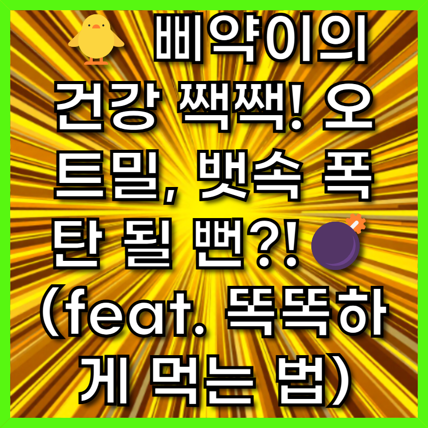 삐약이의 건강 짹짹! 오트밀, 뱃속 폭탄 될 뻔?!💣 (feat. 똑똑하게 먹는 법)