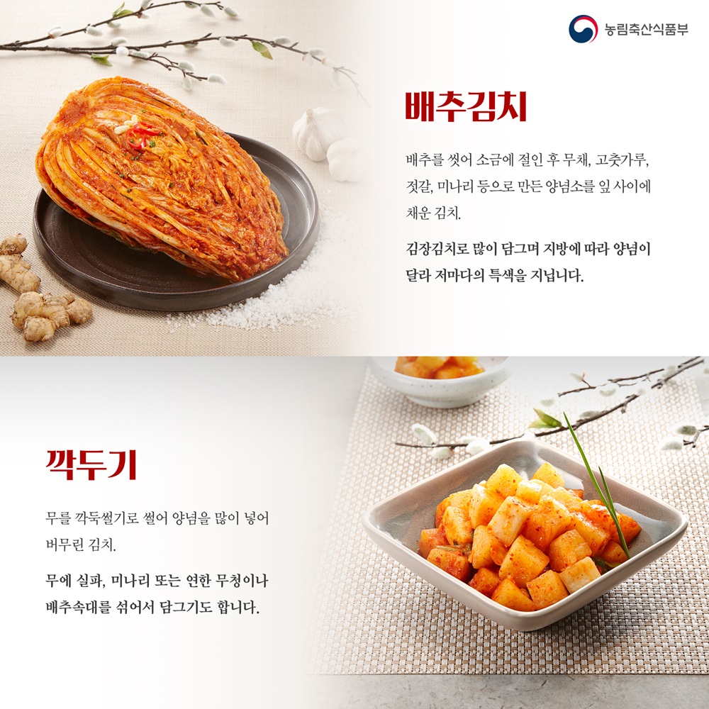 김치의 날 카드뉴스2