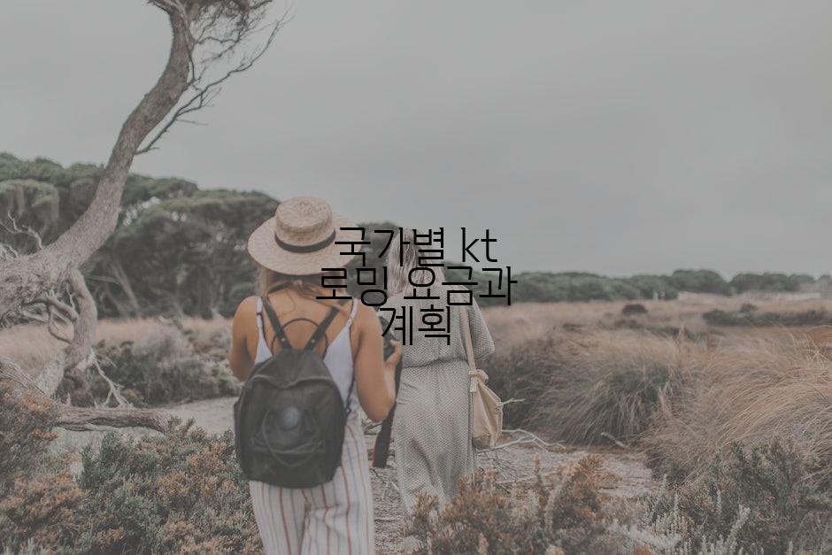 국가별 kt 로밍 요금과 계획