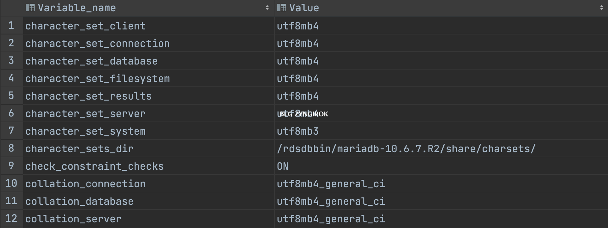 c로-시작하는-파라미터들-리스트이다.-설정이-잘된-것을-확인할-수있다.