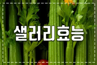 샐러리 효능 알고 먹는법 잎 생으로 손질법 요리_21