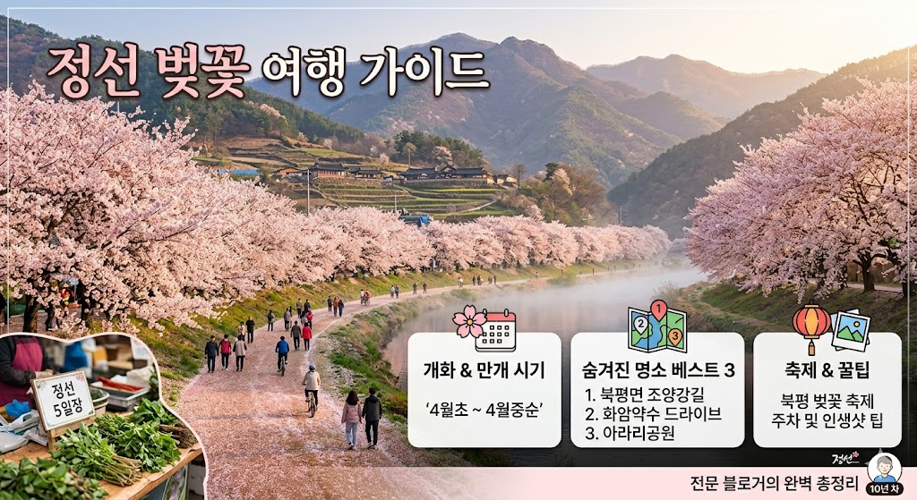 정선 벚꽃 명소