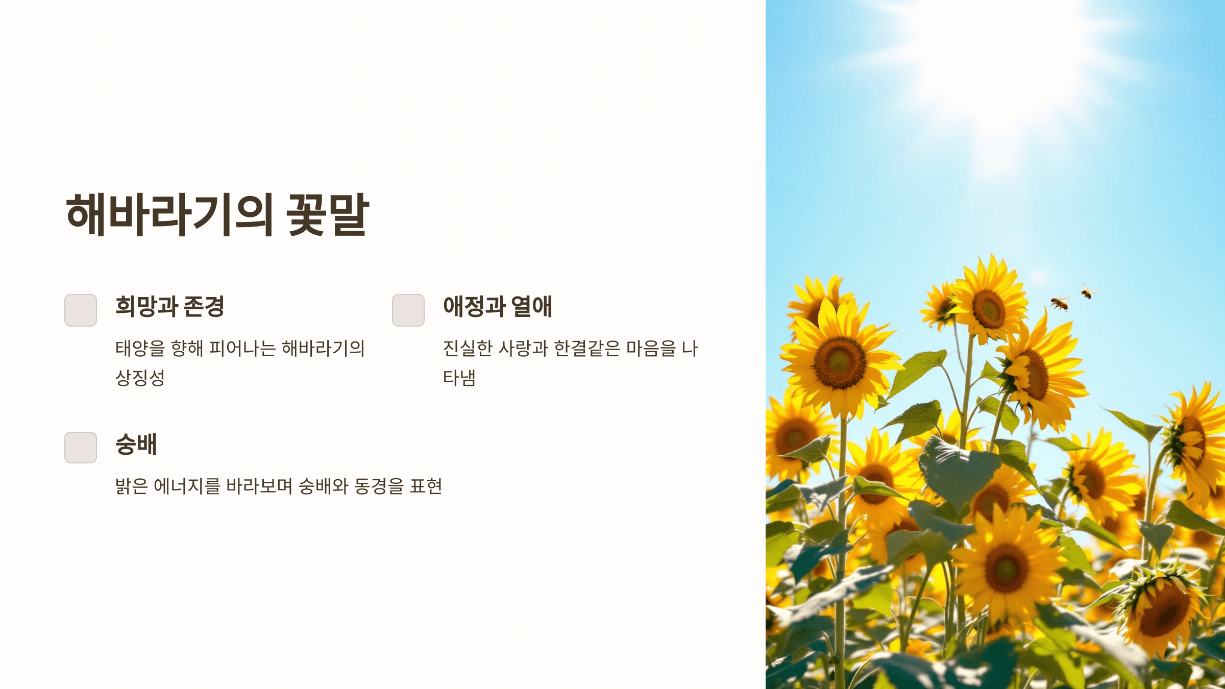 해바라기 사진입니다.