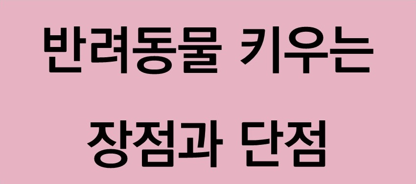 반려동물 키우는 장점 단점