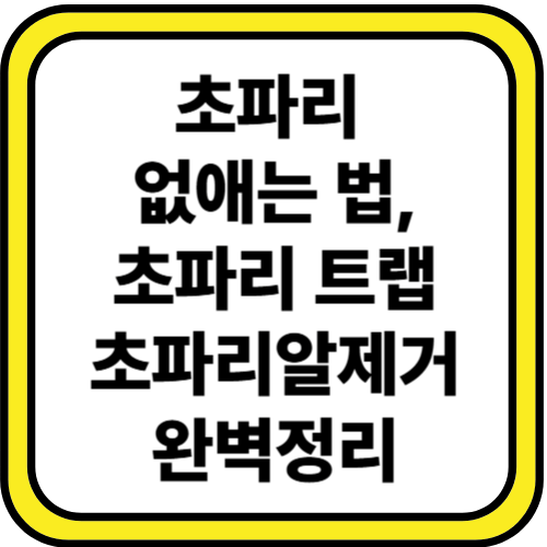 초파리 없애는 법 : 식초,설탕,계피 활용-초파리 트랩부터 초파리 알 제거