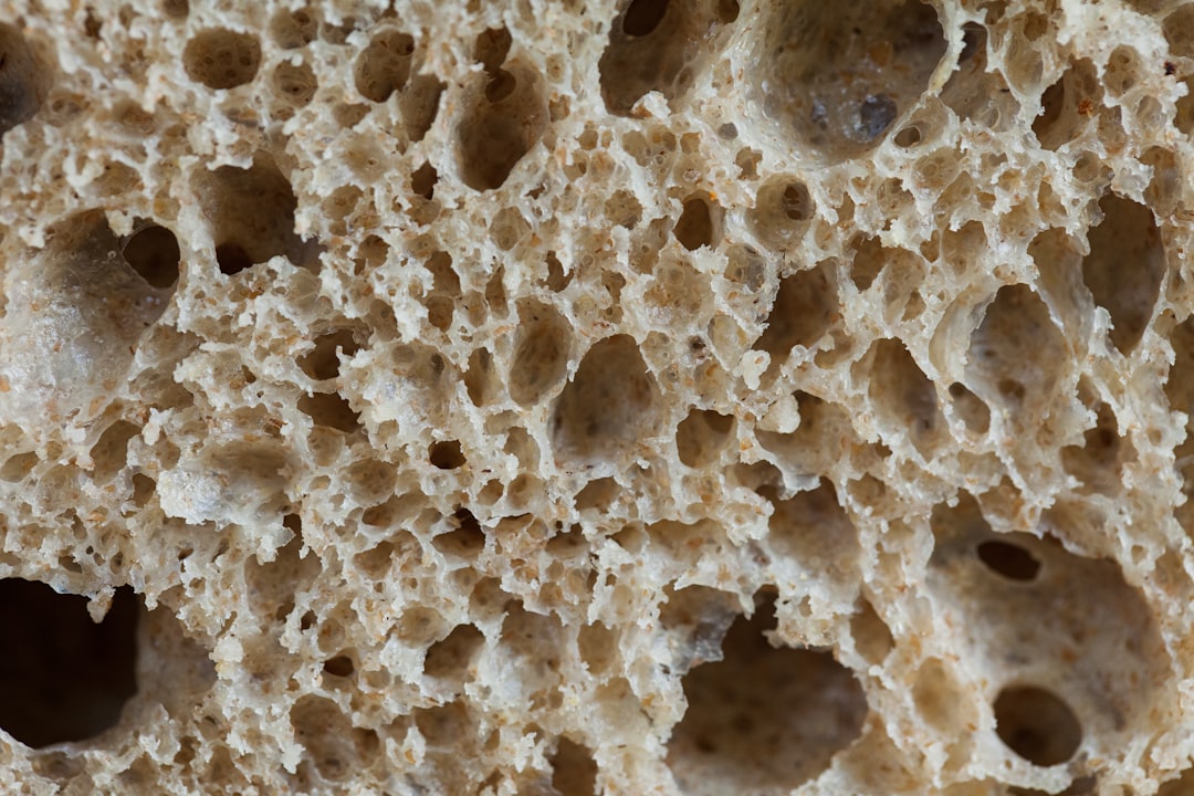 Fermentation
