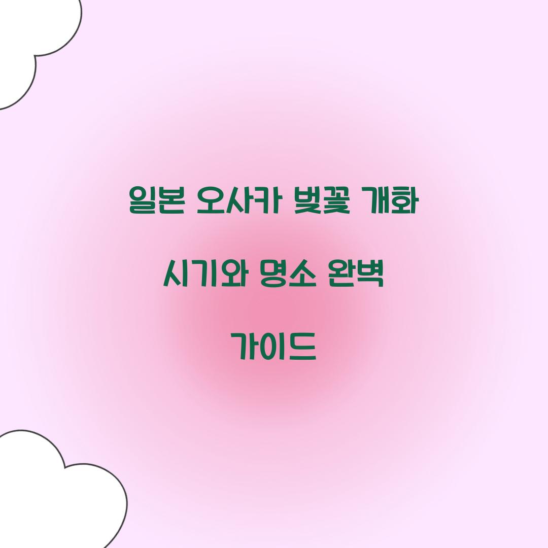 일본 오사카 벚꽃 개화 시기
