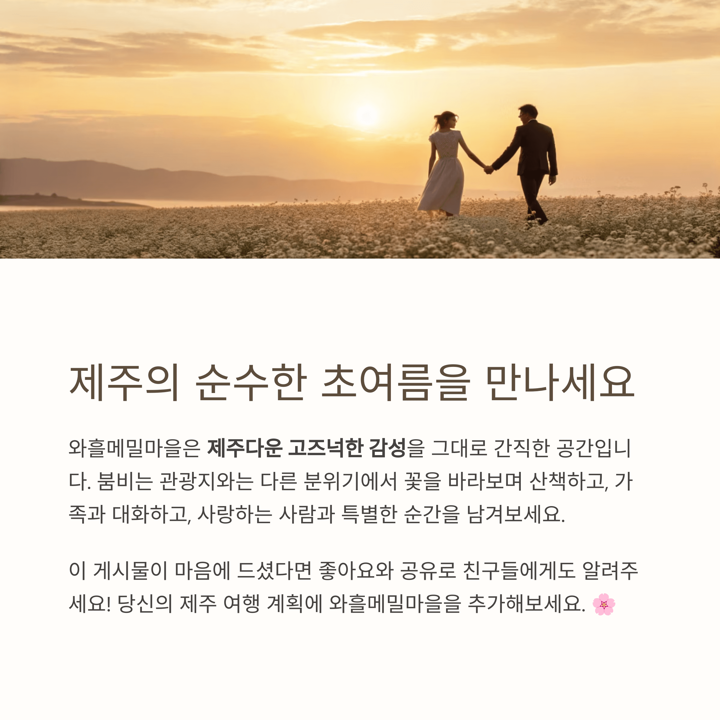 제주의 순수한 초여름 감성을 담은 와흘메밀마을에서의 로맨틱한 순간
