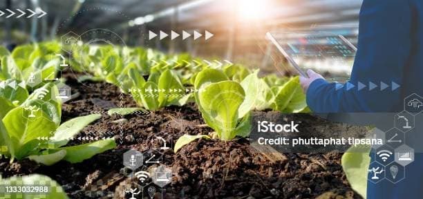 스마트 가드닝의 경제적 이점: 돈도 절약하고 즐거움도 두 배!