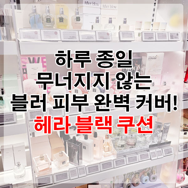 하루 종일 무너지지 않는 블러 피부 완벽 커버! 헤라 블랙 쿠션