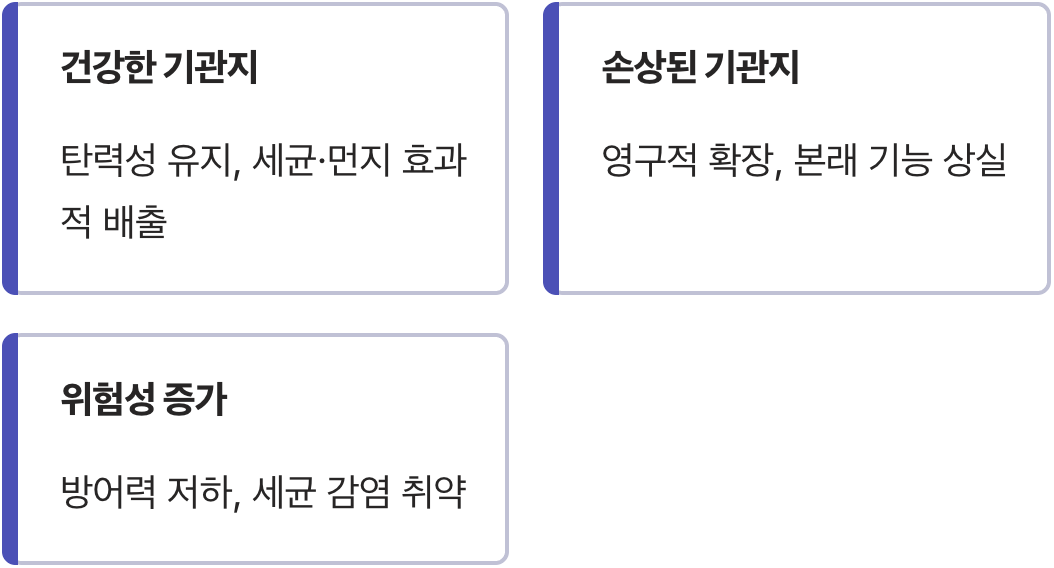 늘어난 고무줄처럼, 우리 기관지의 변화