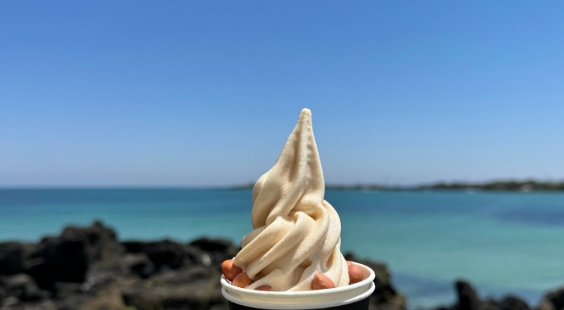 여자 혼자 떠나기 좋은 국내 여행지(제주도, 전주, 강릉)-우도