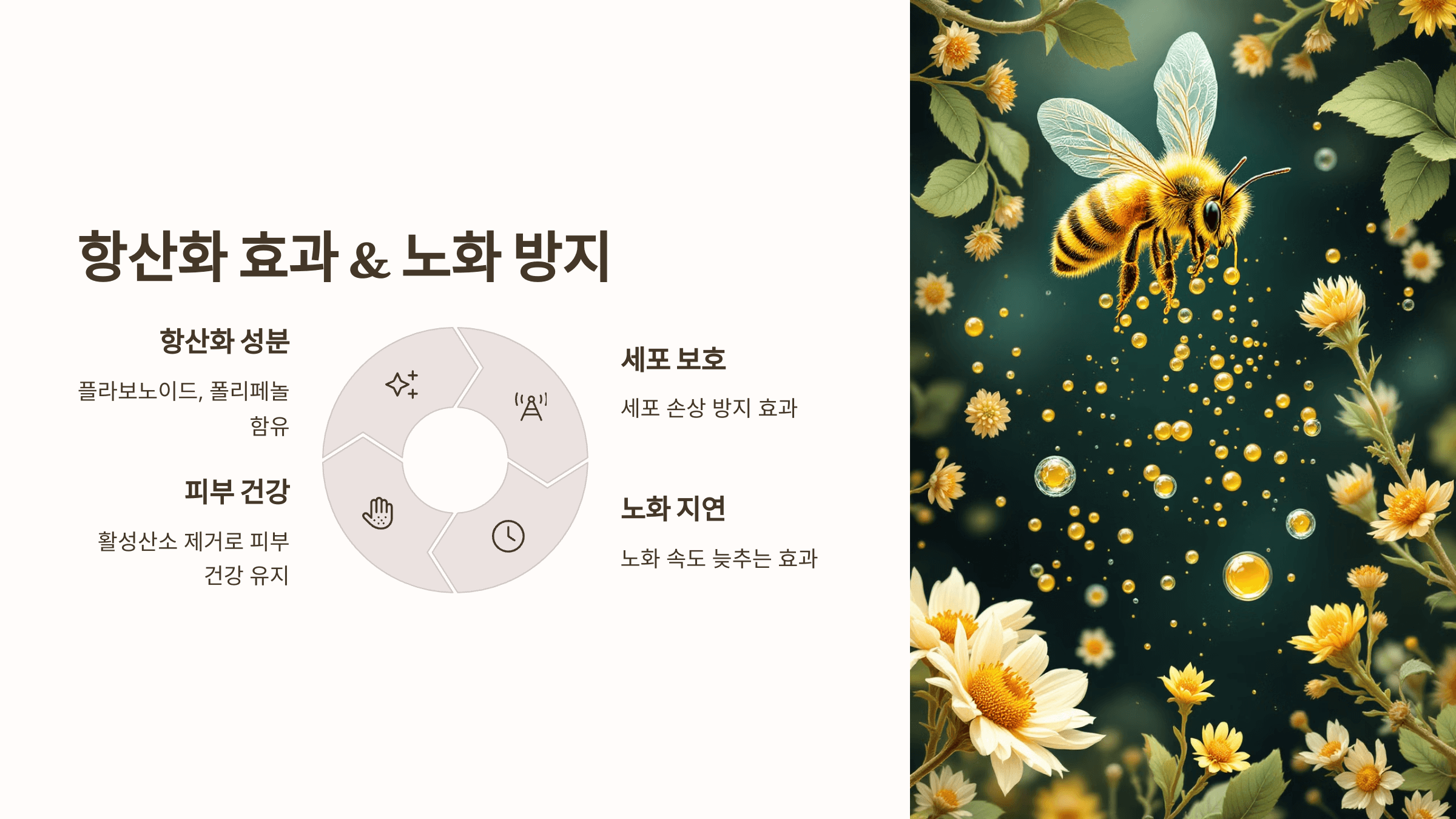 프로폴리스와 관련된 사진입니다.