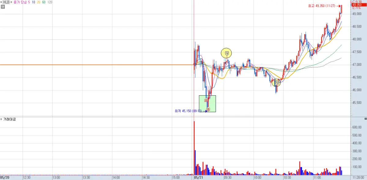 HLB 매매 일지 차트