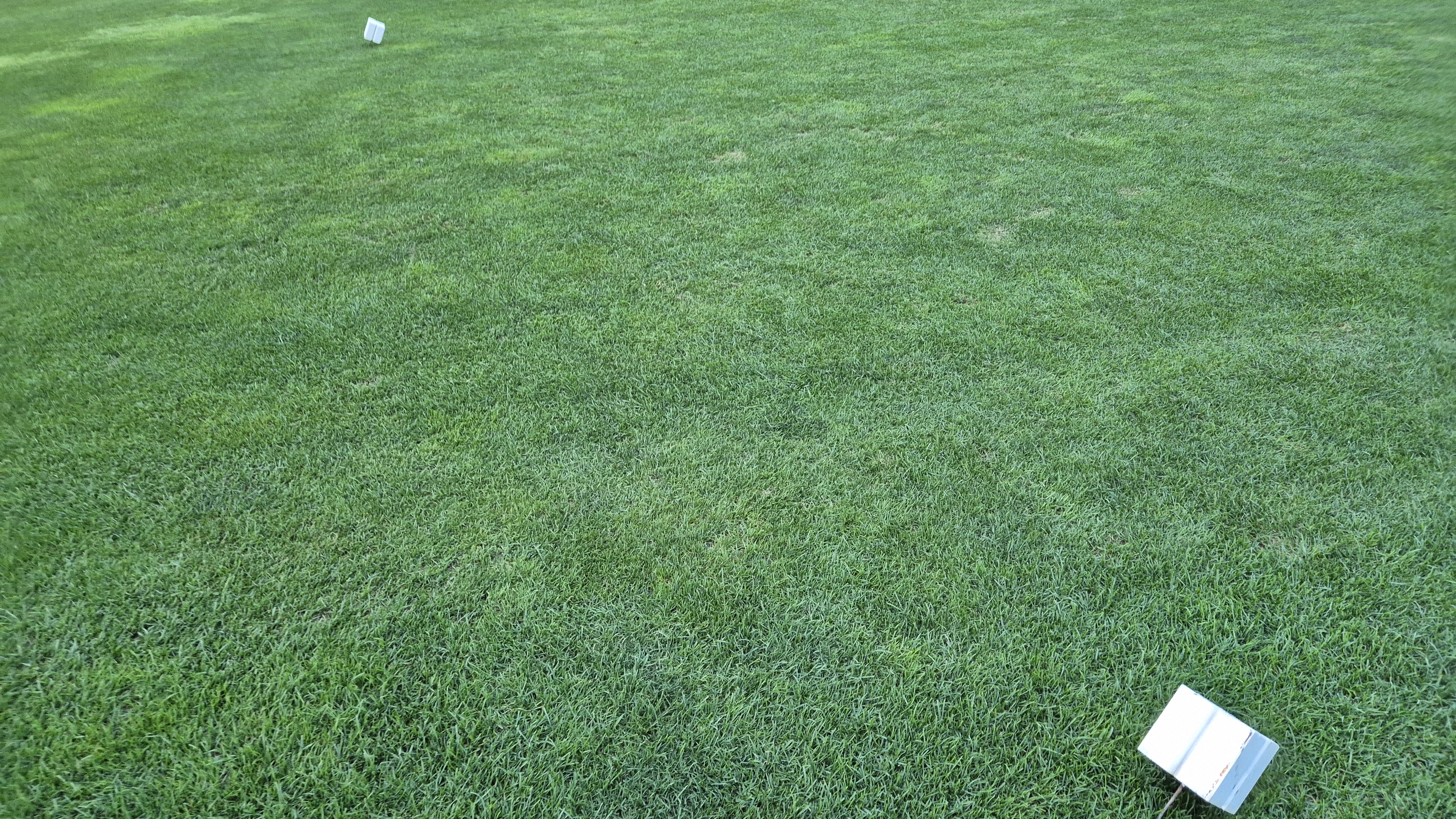 마론cc 라운드 후기