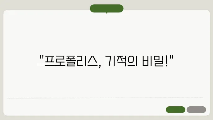 프로폴리스의 효능 및 부작욨과 제품 선택 기준욨