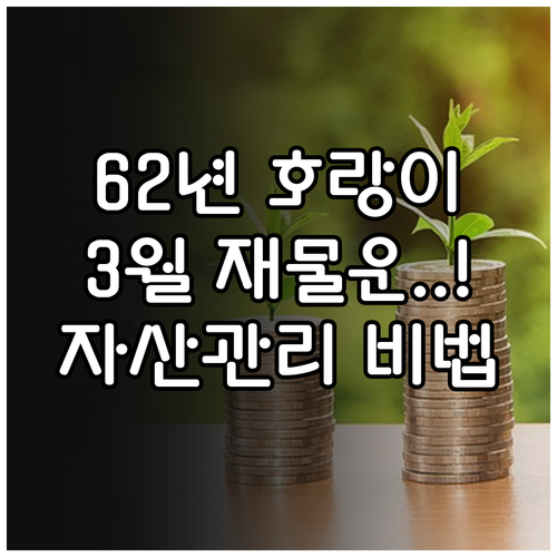 1962년생 호랑이띠 3월 재물운 상..
