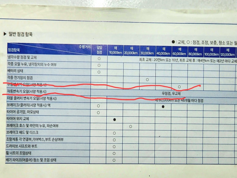 자동차 미션오일 교환주기