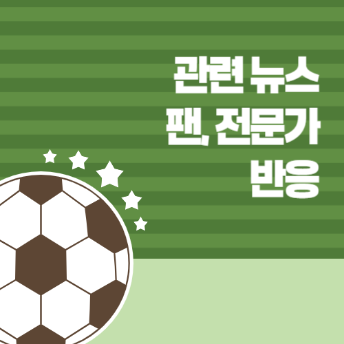 관련 뉴스 팬, 전문가 반응 설명