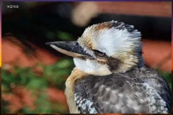 결빙 예보 수도 동파 예방 배관 보온 양동이 준비_23