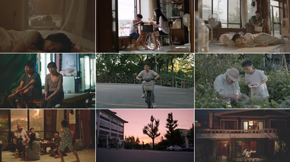 2025 화제작 이끈 감독들