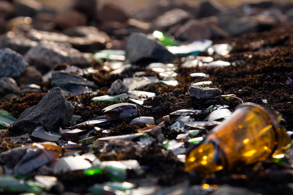 미세플라스틱 관련 이미지