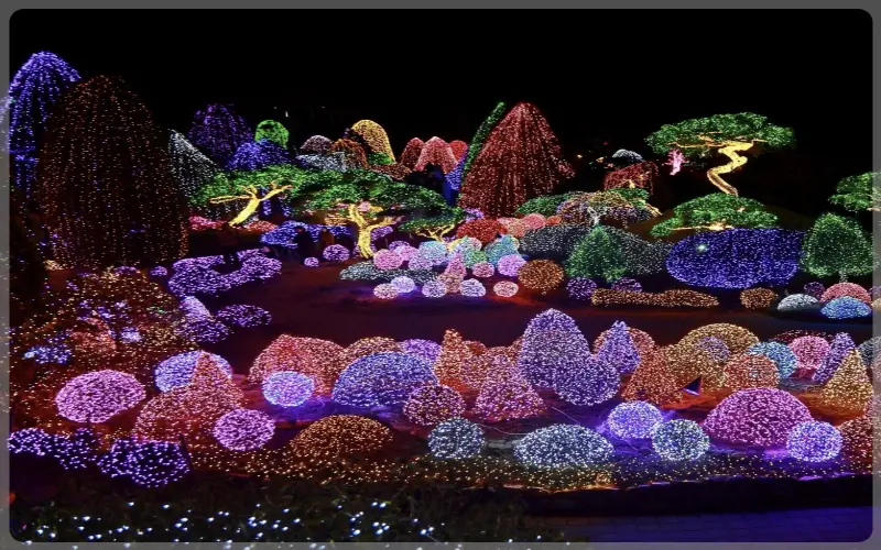 아침고요수목원_25